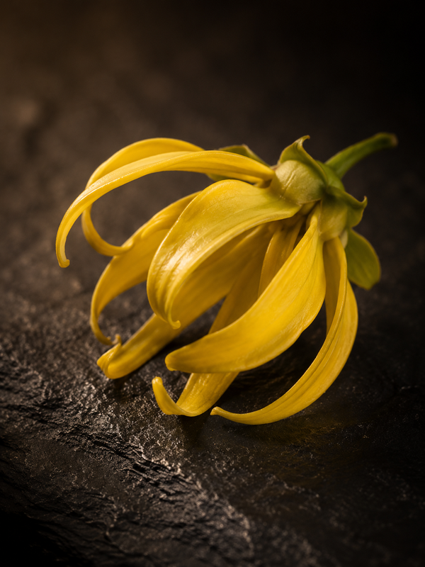 Ylang-Ylang