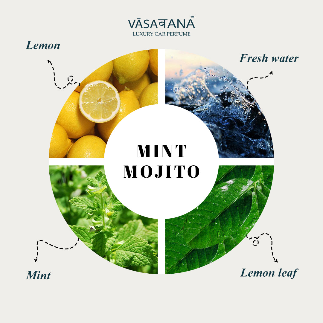 Vāsaवana Luxury Car Perfume - Mint Mojito