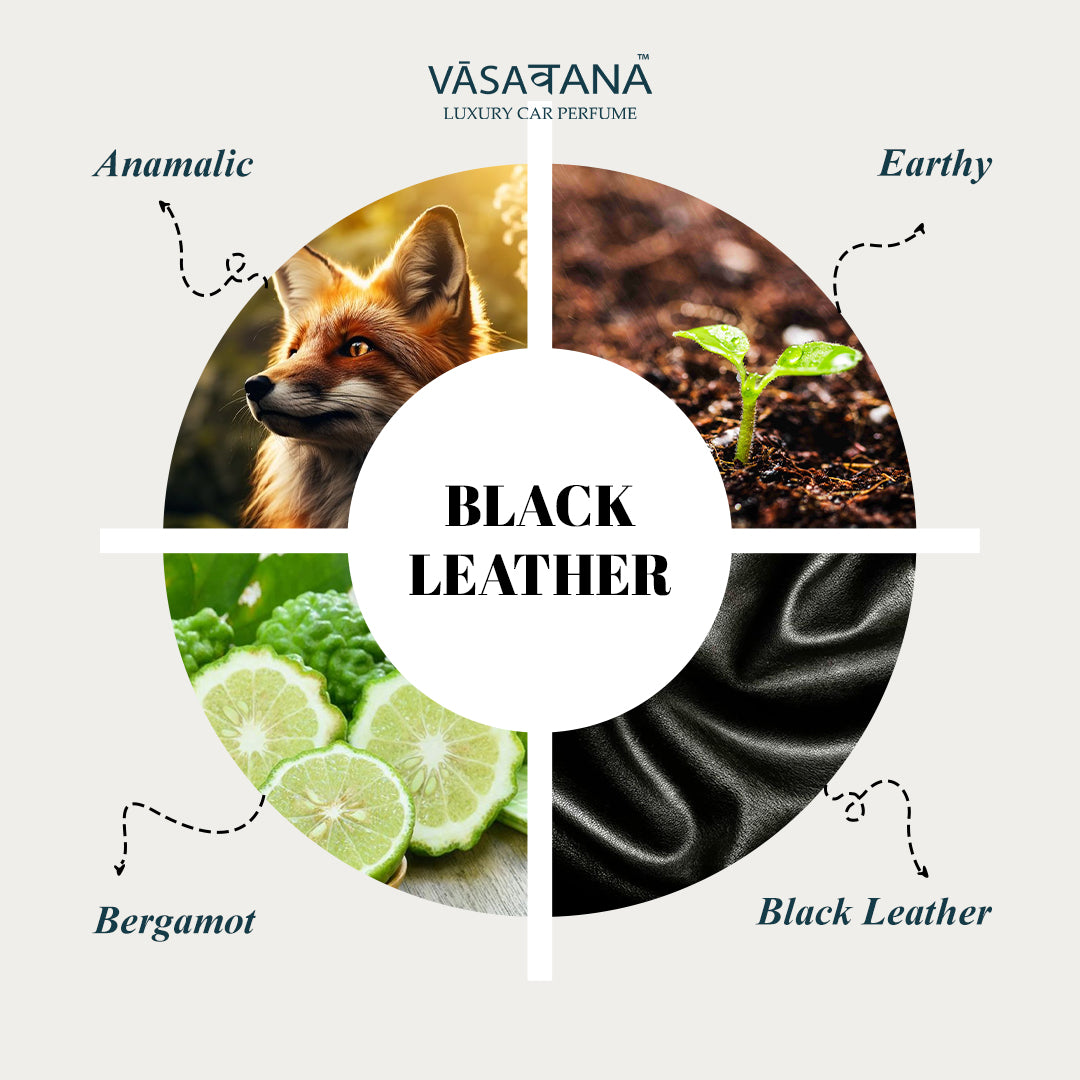 Vāsaवana Luxury Car Perfume - Black Leather