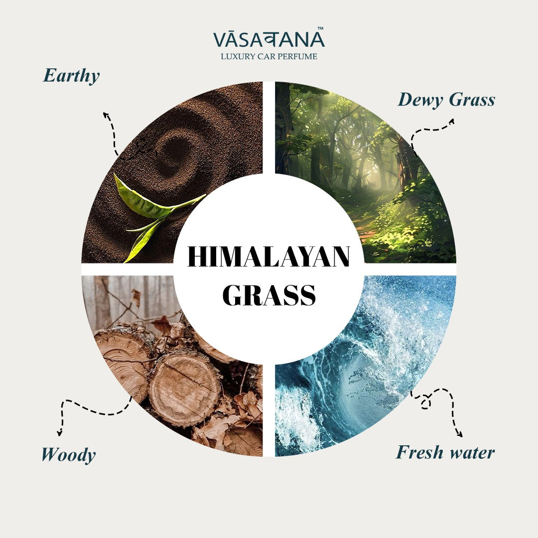 Vāsaवana Luxury Car Perfume - Himalayan Grass Dew